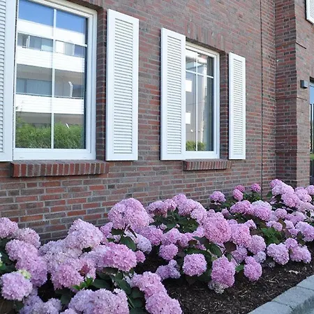 Petersen Traumblick Wangerooge